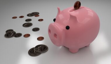 Kakebo: Nejen pro japonské samuraje, ale i pro tebe a tvoje finance